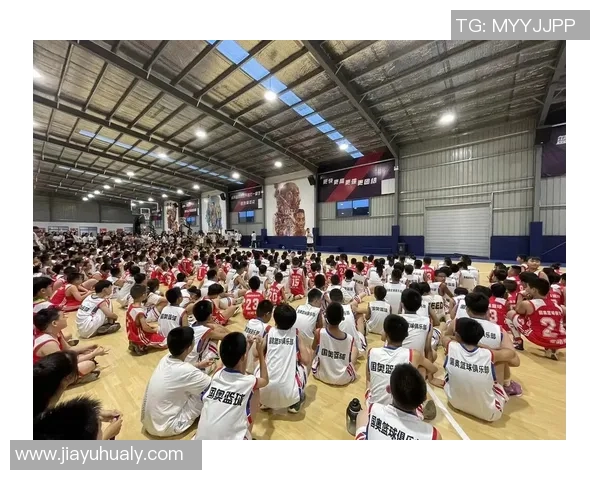 在篮球公园追逐梦想的青春岁月与热血友情的故事